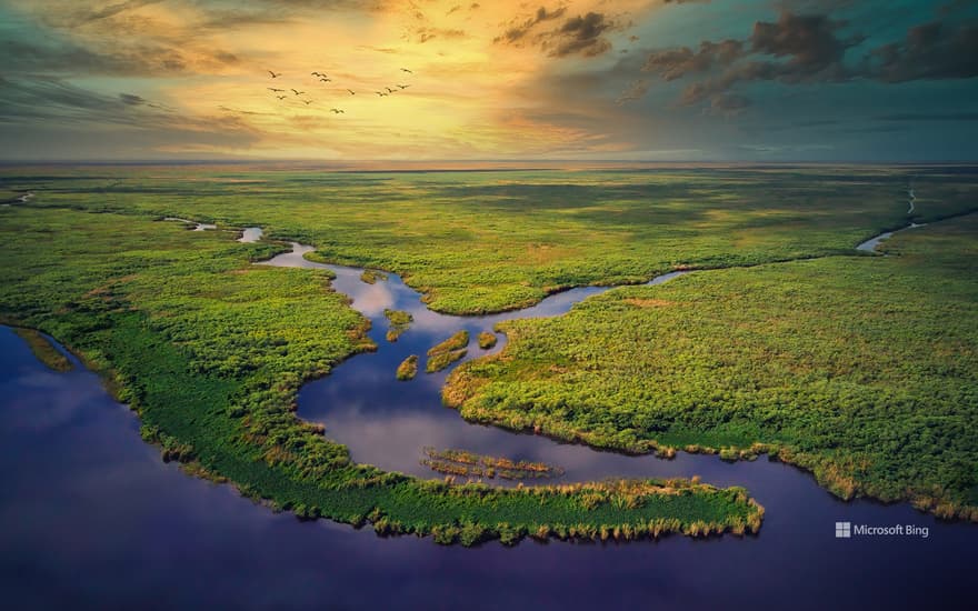 Aerial view of Everglades National Park, Florida, United States