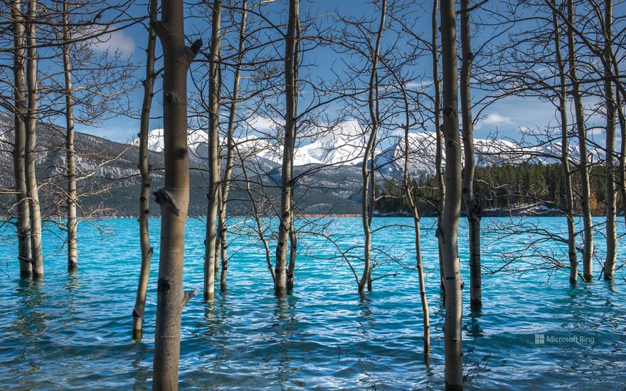 Abraham Lake, Alberta, Canada