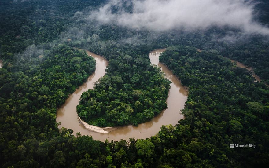 Amazon rainforest, Ecuador