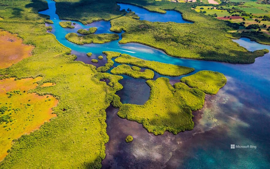 Grand Cul-de-Sac Marin, Guadeloupe National Park, Lesser Antilles