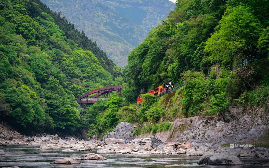 A train running along Hozugawa River in Arashiyama, Kyoto, Japan