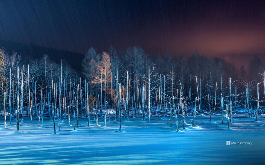 Illuminated Blue Pond, Biei, Hokkaido