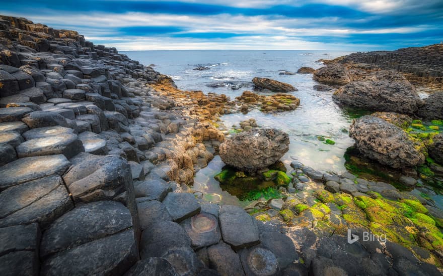 The Giant's Causeway, Bushmills, Northern Ireland, UK