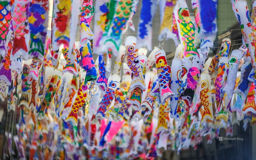 Carp streamer on Taisho Roman Yume-dori, Kawagoe City, Saitama