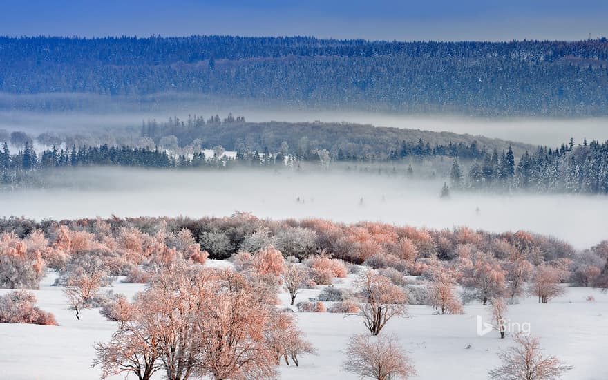 Eifel National Park, North Rhine-Westphalia, Germany