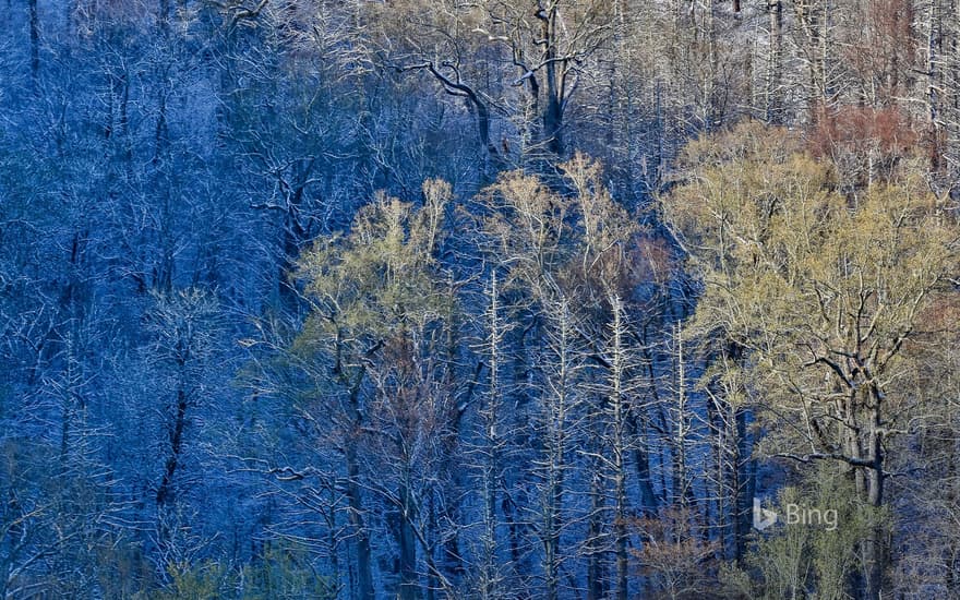 Newfound Gap in the Great Smoky Mountains National Park between North Carolina and Tennessee