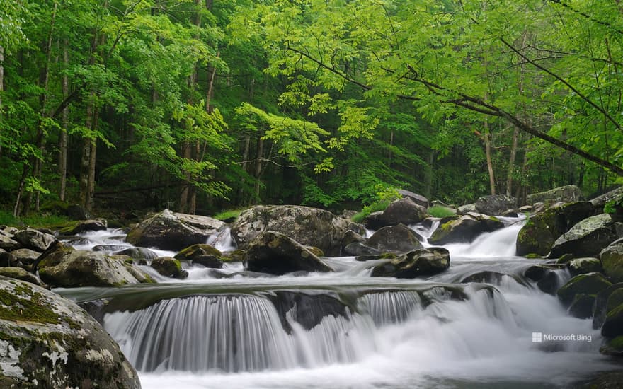 Little Pigeon River, Great Smoky Mountains National Park, Tennessee, United States