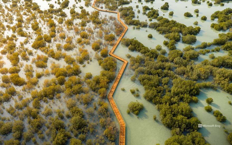 Jubail Mangrove Park in Abu Dhabi, United Arab Emirates