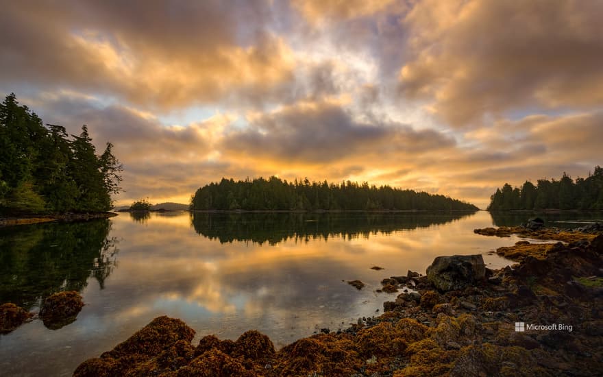 Broken Group Islands, Pacific Rim National Park Reserve, Vancouver Island, British Columbia