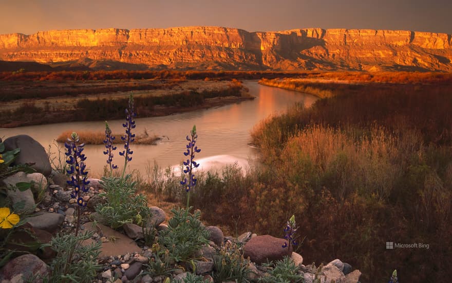 Big Bend National Park, Texas, USA