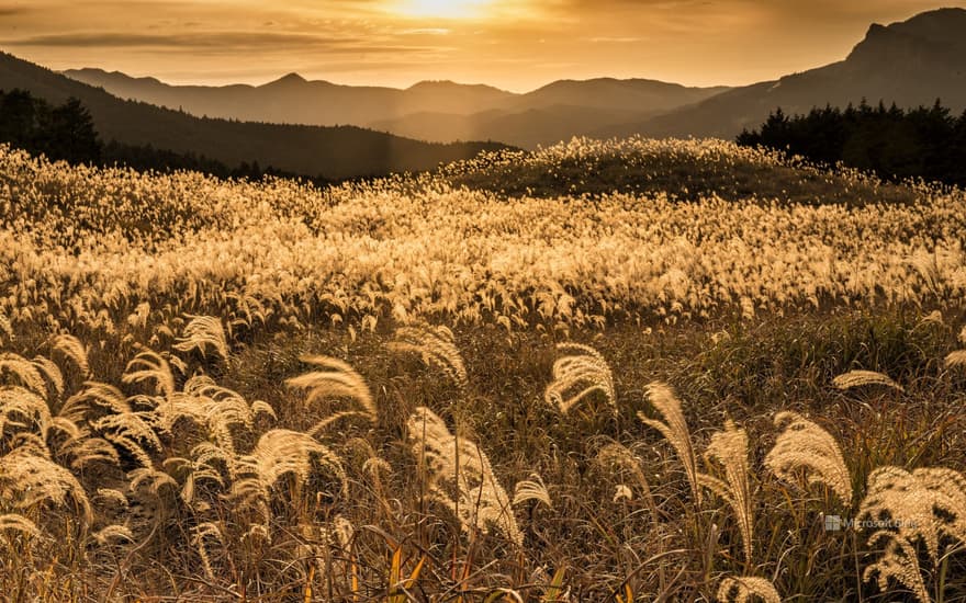 "Sunset on the Soni Plateau" Nara Prefecture