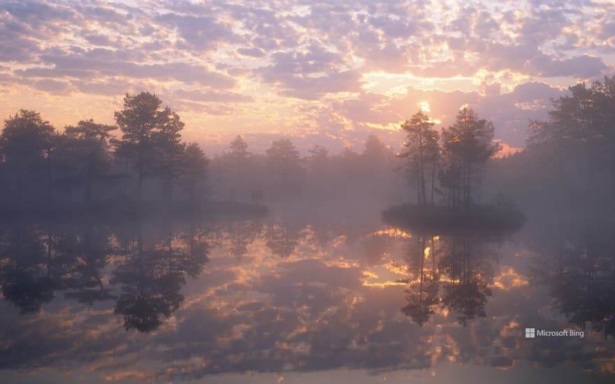Knuthöjdsmossen nature reserve, Sweden