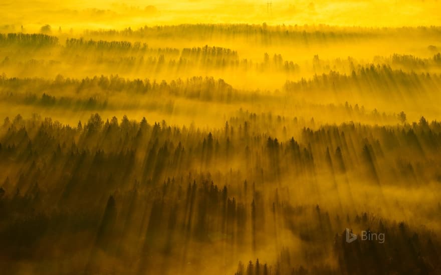 Sunbeams across Tartu County, Estonia