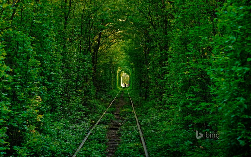 Tunnel of Love in Klevan, Ukraine