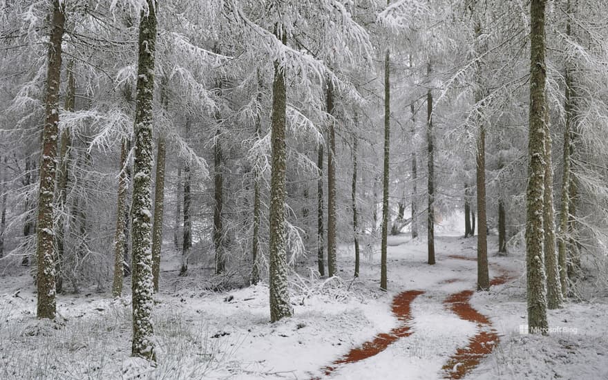 Northern Vosges Regional Nature Park, France